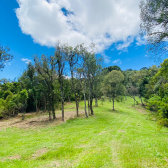 Terreno a Venda - Excelente Localizao - Serra Catarinense 