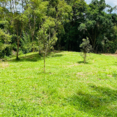 Terreno a Venda - Excelente Localizao - Serra Catarinense 