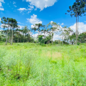 Terreno a Venda - Excelente Localizao - Serra Catarinense 