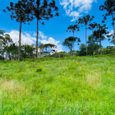 Terreno a Venda - Excelente Localizao - Serra Catarinense 