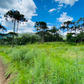 Terreno a Venda - Excelente Localizao - Serra Catarinense 