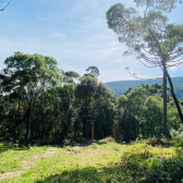 Terreno a Venda - Excelente Localizao - Urubici - Serra Catarinense 