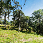 Terreno a Venda - Excelente Localizao - Urubici - Serra Catarinense 