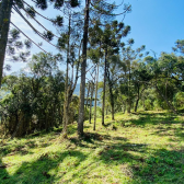 Terreno a Venda - Excelente Localizao - Urubici - Serra Catarinense 