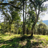 Terreno a Venda - Excelente Localizao - Urubici - Serra Catarinense 