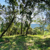 Terreno a Venda - Excelente Localizao - Urubici - Serra Catarinense 