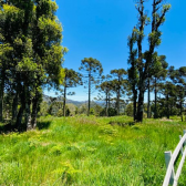 Terreno a Venda - Excelente Localizao - Vista  das Montanhas