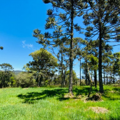 Terreno a Venda - Excelente Localizao - Vista  das Montanhas