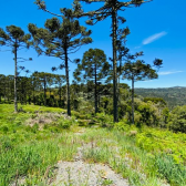 Terreno a Venda - Excelente Localizao - Vista  das Montanhas