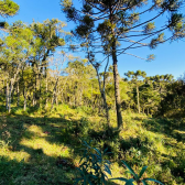 Terreno a Venda - Excelente Localizao - Vista  das Montanhas