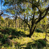 Terreno a Venda - Excelente Localizao - Vista  das Montanhas