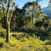 Terreno a Venda - Excelente Localizao - Vista  das Montanhas