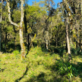 Terreno a Venda - Excelente Localizao - Vista  das Montanhas