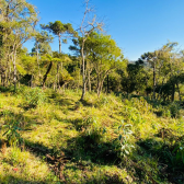 Terreno a Venda - Excelente Localizao - Vista  das Montanhas