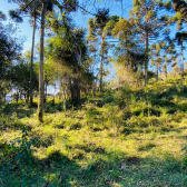 Terreno a Venda - Excelente Localizao - Vista  das Montanhas