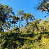 Terreno a Venda - Excelente Localizao - Vista  das Montanhas