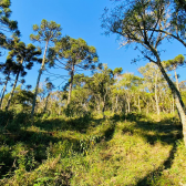 Terreno a Venda - Excelente Localizao - Vista  das Montanhas