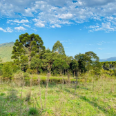 Terreno  Venda - Invernador - Urubici