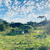 Terreno  Venda - Invernador - Urubici