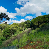 Terreno  Venda - Linda Vista das Montanhas -  Crioulas 