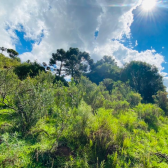 Terreno  Venda - Linda Vista das Montanhas -  Crioulas 