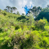 Terreno  Venda - Linda Vista das Montanhas -  Crioulas 