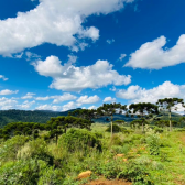 Terreno  Venda - Linda Vista das Montanhas -  Crioulas 