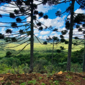 Terreno  Venda - Linda Vista das Montanhas -  Crioulas 