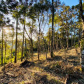 Terreno a Venda - Linda Vista das Montanhas - Excelente Localizao 