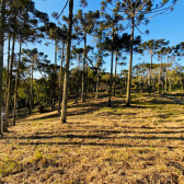 Terreno a Venda - Linda Vista das Montanhas - Excelente Localizao 