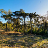 Terreno a Venda - Linda Vista das Montanhas - Excelente Localizao 