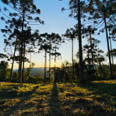 Terreno a Venda - Linda Vista das Montanhas - Excelente Localizao 