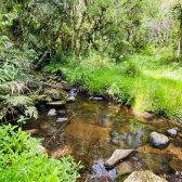 Terreno a Venda - Com gua Corrente - Excelente Localizao 