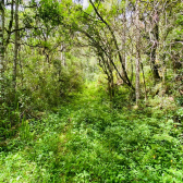 Terreno a Venda - Com gua Corrente - Excelente Localizao 