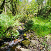 Terreno a Venda - Com gua Corrente - Excelente Localizao 