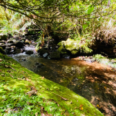 Terreno a Venda - Com gua Corrente - Excelente Localizao 