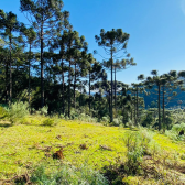 Terreno a Venda - Linda Vista do Vale - Acesso Bom 