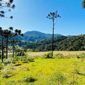 Terreno a Venda - Linda Vista do Vale - Acesso Bom 