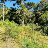 Terreno a Venda - Linda Vista do Vale - Acesso Bom 