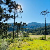 Terreno a Venda - Linda Vista do Vale - Acesso Bom 