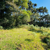 Terreno a Venda - Linda Vista do Vale - Acesso Bom 