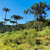 Terreno a Venda - Linda Vista do Vale - Acesso Bom 