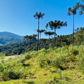 Terreno a Venda - Linda Vista do Vale - Acesso Bom 