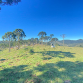 Terreno  venda - Morro da Igreja - Vista para Cachoeira