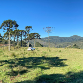 Terreno  venda - Morro da Igreja - Vista para Cachoeira