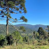 Terreno  venda - Morro da Igreja - Vista para Cachoeira