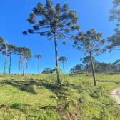 Terreno  venda - Morro da Igreja - Vista para Cachoeira