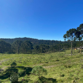 Terreno  venda - Morro da Igreja - Vista para Cachoeira