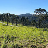 Terreno  venda - Morro da Igreja - Vista para Cachoeira