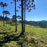 Terreno  venda - Morro da Igreja - Vista para Cachoeira